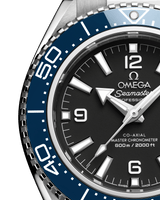 Seamaster Planet Ocean 600mm 42 mm  217.30.42.21.01.002