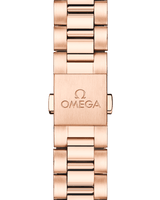 Seamaster Aqua Terra 150M 30 mm 220.55.30.20.61.001
