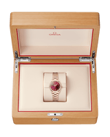 Seamaster Aqua Terra 150M 30 mm 220.55.30.20.61.001