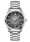Seamaster Railmaster 150M 38 mm 235.10.38.20.06.001