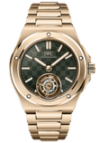IWC Ingenieur Tourbillon 41  IW345901