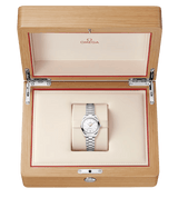 Seamaster Aqua Terra 150M 30 mm 220.10.30.20.02.001