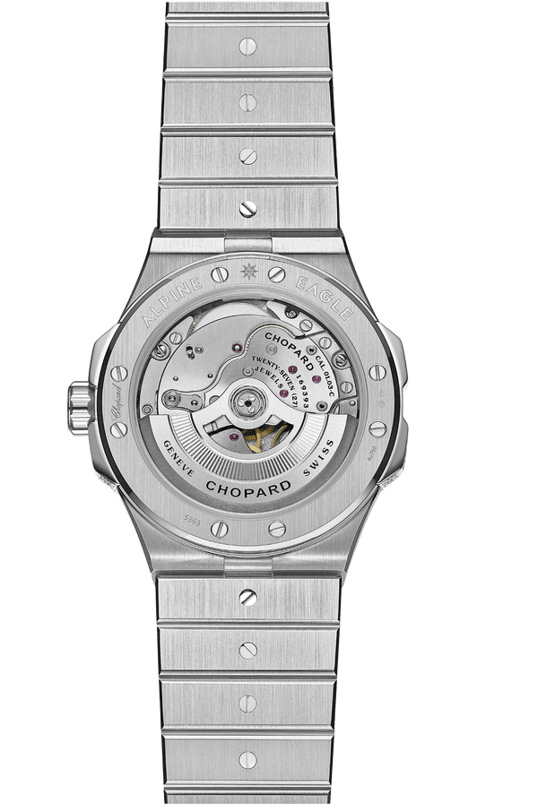 Alpine Eagle 41 295363-1001