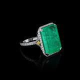 Platinum 21.49ct. Colombia Emerald Cut Emerald Diamond Ring