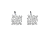 CJ Charles "Riviera" Platinum Diamond Studs