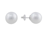 South Sea Pearl Earrings