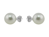 South Sea Pearl Earrings