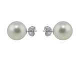 South Sea Pearl Earrings