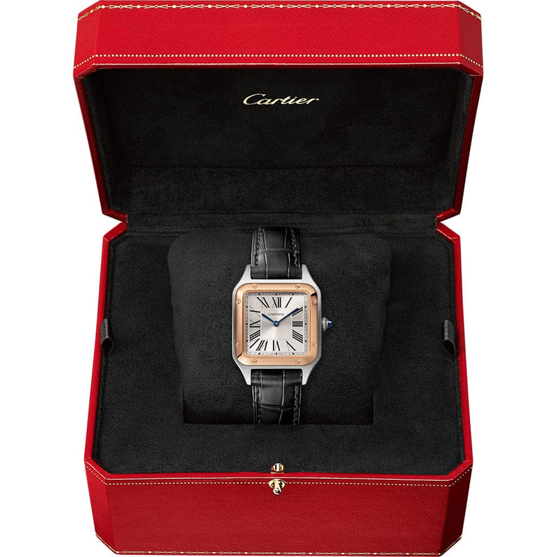 Santos-Dumont watch W2SA0012