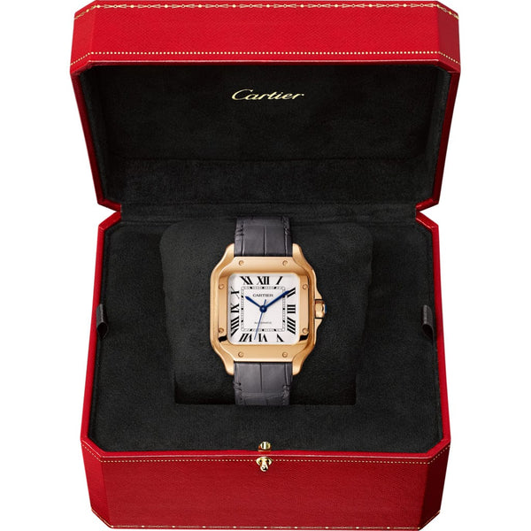 Santos de Cartier watch WGSA0028