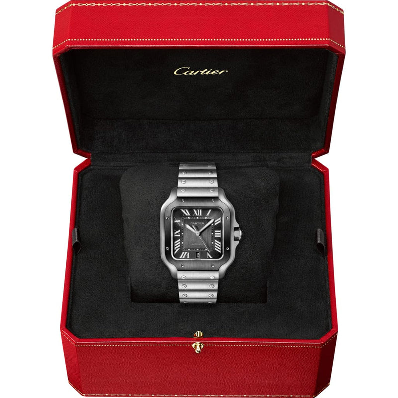 Santos de Cartier Watch LM WSSA0037