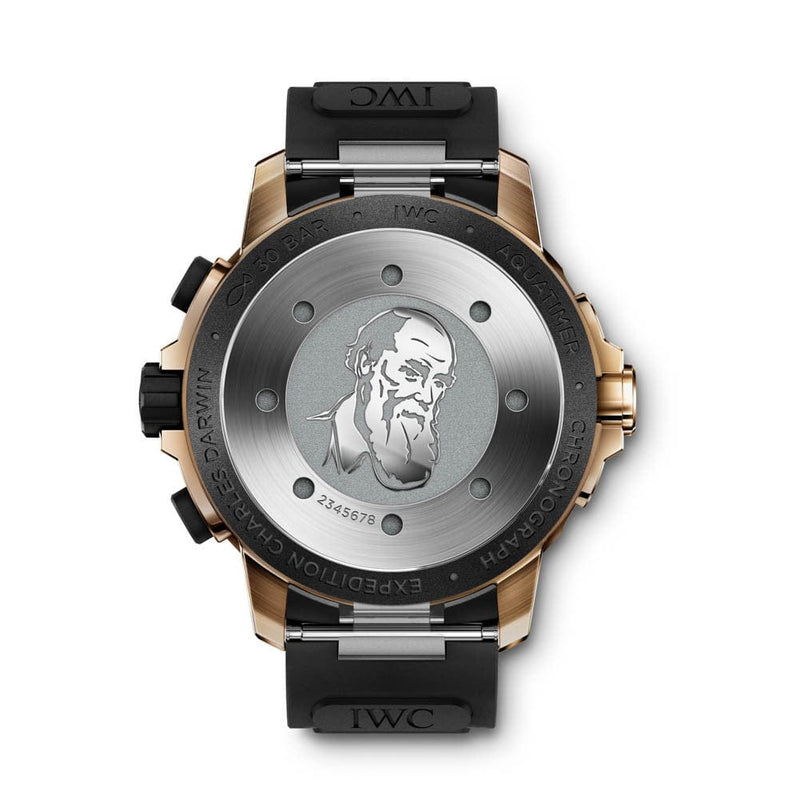 Iwc aquatimer discount darwin