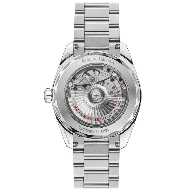 Seamaster Aqua Terra 150m Co‑Axial Master Chronometer 38 MM 220.10.38.20.10.002