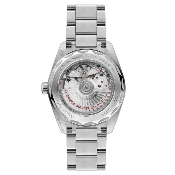 Seamaster Aqua Terra 150m Co‑Axial Master Chronometer Small Seconds 38 mm 220.10.38.20.10.001